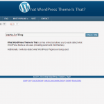 What WordPress Theme